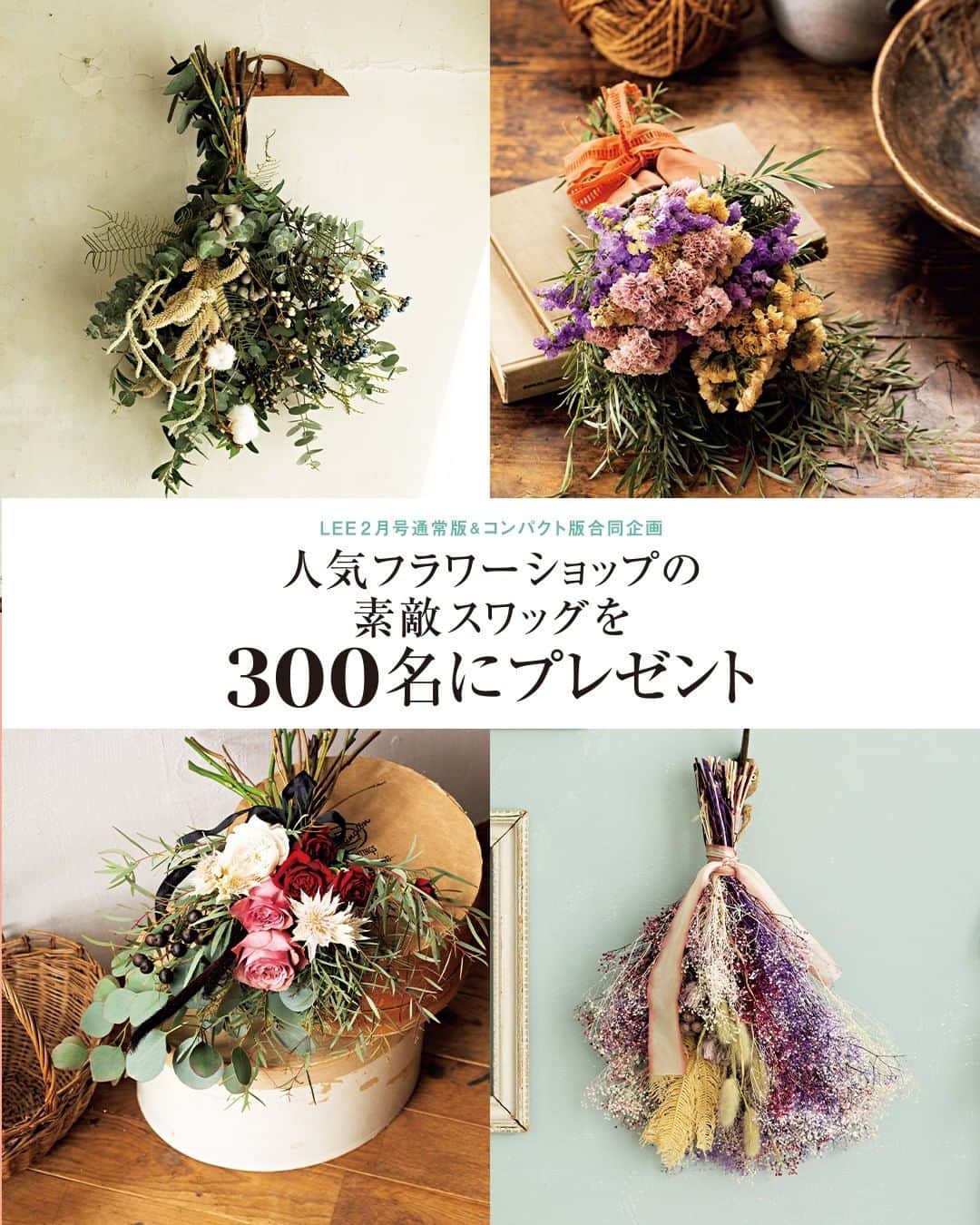のインスタグラム：「▷人気フラワーショップの素敵スワッグを300名にプレゼント！  #LEE2月号 本日発売 ⭐  ───────────────  試し読みはプロフィールのURLから！﻿ → @magazinelee  ✎ 𓂃  5年目となる今年のお花プレゼント企画は、 「ウヴル」 田口一征さん、 「Lucca」笠無正平さん、 「gui」 前田有紀さん、 「ル・ベスベ」 木津谷優子さん、 4名の人気フラワーアーティストが 「おうち時間を気分よく過ごせるように」と 思いを込めて、華やかなスワッグを提案します。 ぜひご応募ください！  LEE 2月号通常版、コンパクト版どちらでも応募できます。 本誌応募券が必要になりますので、 詳しい応募方法はLEE 2月号をご覧ください。  ※本企画は電子版からの応募はできません。  ───────────────  試し読みはプロフィールのURLから！﻿ → @magazinelee ﻿ㅤㅤㅤㅤ ───────────────  ⁠⁠⁠#magazinelee #leeweb #LEE2月号 #雑誌 #スワッグ #お花 #花 #お花のある暮らし #花のある暮らし」