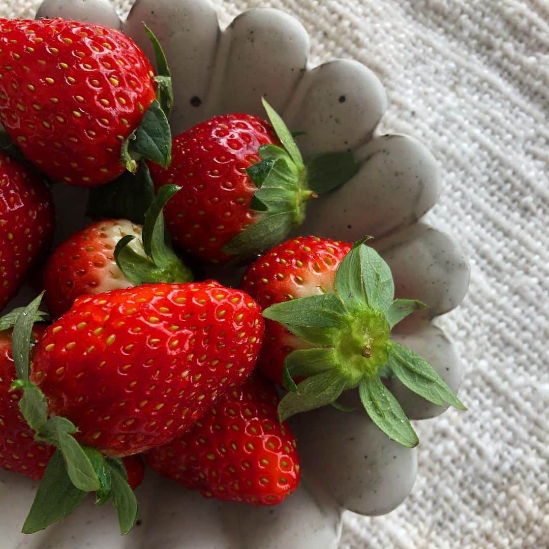 関根祥子のインスタグラム：「今日は七草粥の日  朝は排出の時間 🍓で酵素をとって、、、 （いちごの時期がきて嬉しい🥰）  胃腸を休めるために 私は夜ご飯で七草粥🍚  今年一年も無病息災で過ごせます様に🧚🏻  エマコに貰ったお皿が可愛いくて朝から幸せでした☺️ ありがと〜 @okss2121」