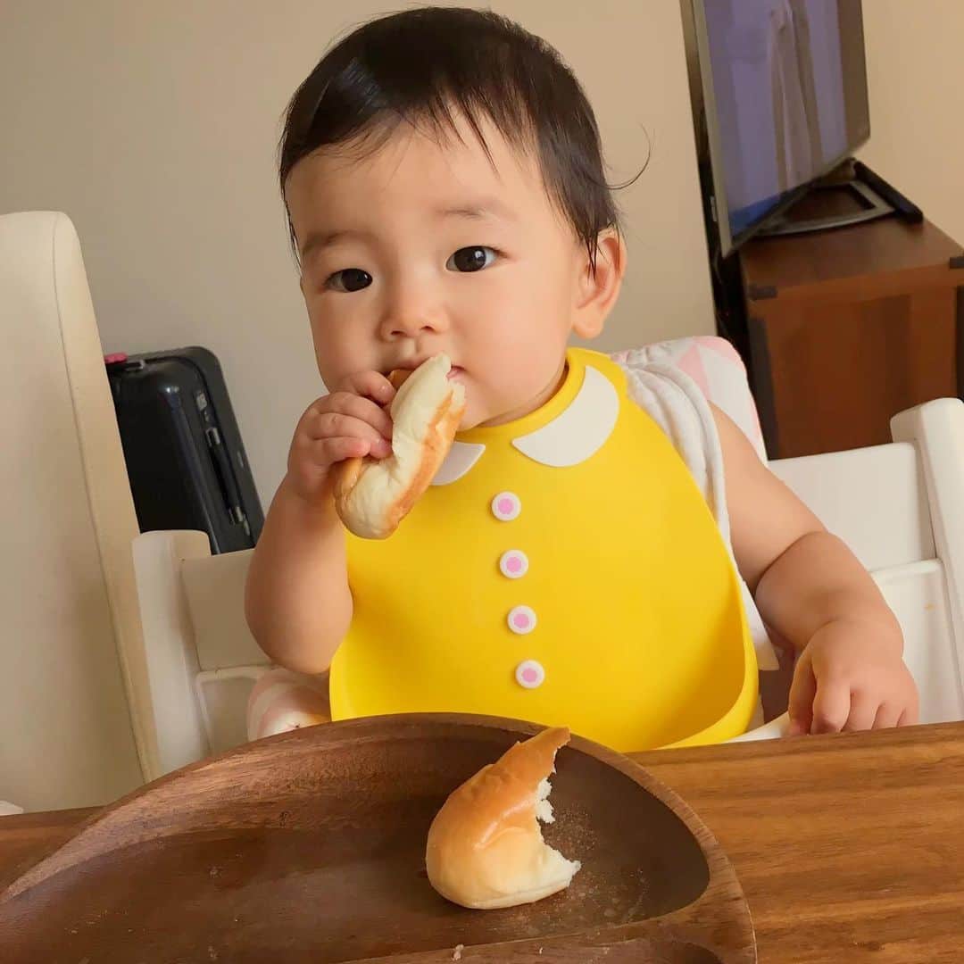 のインスタグラム：「﻿ ﻿ 高級食パン嵜本 全店でショッパーに同封させて﻿ 頂いている嵜本マガジンを、﻿ こちらでもご紹介させて頂ければと思います^ ^﻿ ﻿ ﻿ ﻿ ﻿ 【コラム第一話】第一話　1﻿ ﻿ ﻿ 食パン嵜本誕生のきっかけ～極美“ナチュラル”食パン～﻿ ﻿ ﻿ ﻿ ﻿ 「乳・卵を使わず、美味しいパンはつくれるのだろうか。」﻿ ﻿ この疑問から、高級食パン嵜本は誕生しました。﻿ ﻿ ﻿ 僕がこの疑問を持ったのは、﻿ 娘が生まれてから初めての誕生日を迎え、1歳になった頃。﻿ ﻿ ﻿ その時から、僕の娘はパンを好んで食べていました。﻿ ﻿ しかし、毎日食べるものであっても、市販の食パンのほとんどは旨味を出すためや生地のパサツキを抑えるために、卵や乳製品、添加物が多く使用されています。﻿ ﻿ ﻿ ﻿ 「毎日食べられる」「毎日食べたい」﻿ ﻿ そんなヘルシーな食パンを娘に食べさせたい。﻿ ﻿ そう考えるようになりました。﻿ ﻿ ﻿ そこで僕は、卵や乳製品を使用していないのにしっかりとした風味や旨味があり、まずは自分自身が毎日食べたいと思える食パンをつくれば、娘も安心して美味しく食べることができる。﻿ ﻿ ﻿ そして、僕と同じように、﻿ ﻿ 「毎日安心して、子どもに食パンを食べさせたい。﻿ 　でも市販のものには少し不安がある」﻿ ﻿ という悩みを抱えた方の力になることができる﻿ と考えました。﻿ ﻿ ﻿ ﻿ 卵・乳を使わず、美味しい食パンは作れるのか？﻿ ﻿ 「卵・乳不使用」でも風味と旨味があり、﻿ 「毎日食べたい」と思える食パンをつくりたい。﻿ ﻿ ﻿ ﻿ 実現したかったのは、ただ卵や乳製品を使わないだけではなく、安心・安全かつ美味しさをしっかりと追求した食パンをつくること。﻿ ﻿ ﻿ そう考えた僕は、ベーカリー出身のパティシエにこう聞きました。﻿ ﻿ ﻿ 「卵や乳製品を抜いても、﻿ 　美味しいパンってつくれるの？」﻿ ﻿ そしてパティシエは、﻿ 「大丈夫ですよ。﻿ 　卵や乳製品を使わずに美味しい食パンはつくれます！」﻿ と答えたのです。﻿ ﻿ 意外にあっさりとした答えだったので少し驚きました。﻿ ﻿ 「でもそれなら、僕が卵や乳製品を使わない﻿ 　美味しい食パンをつくってみせる。﻿ 　そして、お子さんに安心して食パンを食べさせたい﻿ 　親御さんの力になろう！」﻿ ﻿ そう決意しました。﻿ ﻿ ﻿ その後すぐ、卵・乳不使用の食パンづくりに取り掛かろうと意気込み、高級食パン嵜本のパンづくりはスタートしたのです。﻿ ﻿ ﻿ ﻿ つづく﻿ ﻿ ﻿ ﻿ @shokupan_sakimoto ﻿ ﻿ #SAKImotomagazine﻿ #嵜本マガジン﻿ #コラム﻿ ﻿ #高級食パン ﻿ #無添加﻿ #無添加食パン﻿ #極美ナチュラル食パン﻿ #嵜本﻿ #安心安全﻿ #高級食パン嵜本」
