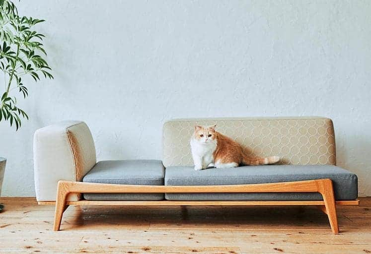 ELLE DECOR JAPANさんのインスタグラム写真 - (ELLE DECOR JAPANInstagram)「【NEW ITEM】グリニッチから「Luu sofa」の新作「Luu sofa Cat Life model」が登場！張り地はミナ ペルホネンの「dop」。 猫との幸せな暮らしの実現をサポートする商品を企画・デザインするRINNが監修を手掛けたこのソファ🐈️愛猫との暮らしに取り入れてみては？  詳しくはエル デジタルをチェック🔍️  #elledecor #elledecorjapan #エルデコ #インテリア #インテリア好き #暮らし #インテリアデザイン #interior #interiordesign  #ソファ #sofa #ミナペルホネン #minaperhonen #minäperhonen #dop #rinn #luusofa #グリニッチ #猫との暮らし #猫 #猫好きさんと繋がりたい #猫好き」1月7日 11時47分 - elledecorjapan