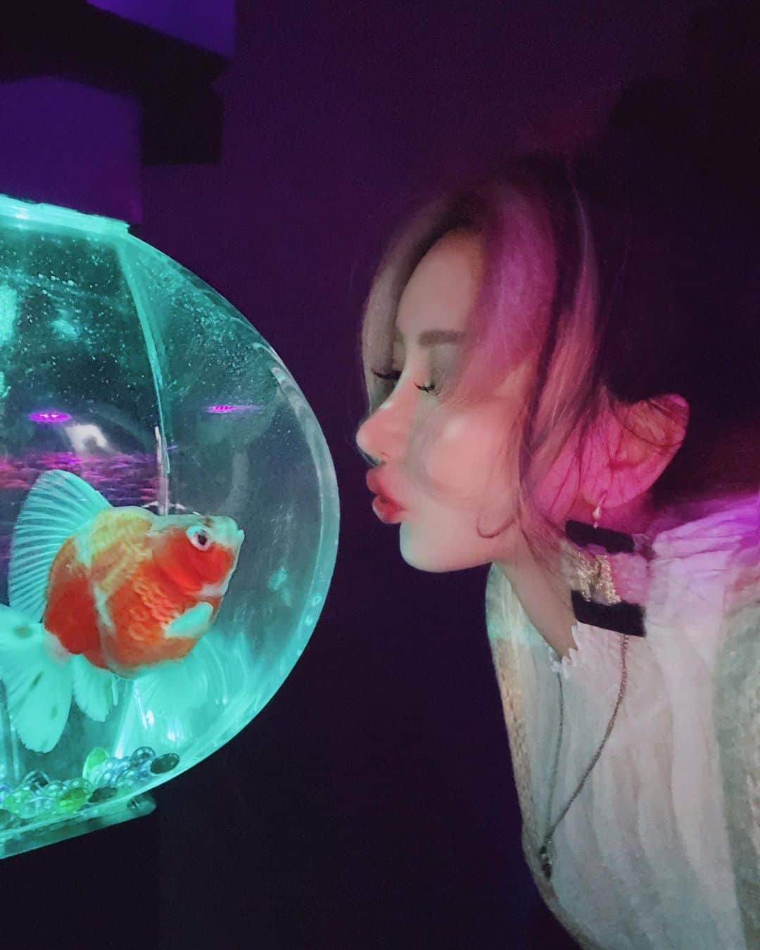 くまくまくまのインスタグラム