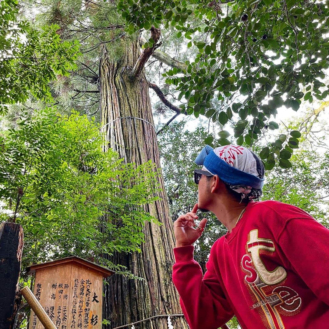 あっくんのインスタグラム：「生命力あふれる大杉。 樹齢は1300年を超える。 もうわけわからん。 とにかく凄い。とにかく強い。  俺も いつまでも真っ直ぐ太く生きていたい！ #漢の生き方 #色んな意味で #島根県 #須佐神社 #大杉 #パワースポッチャー」