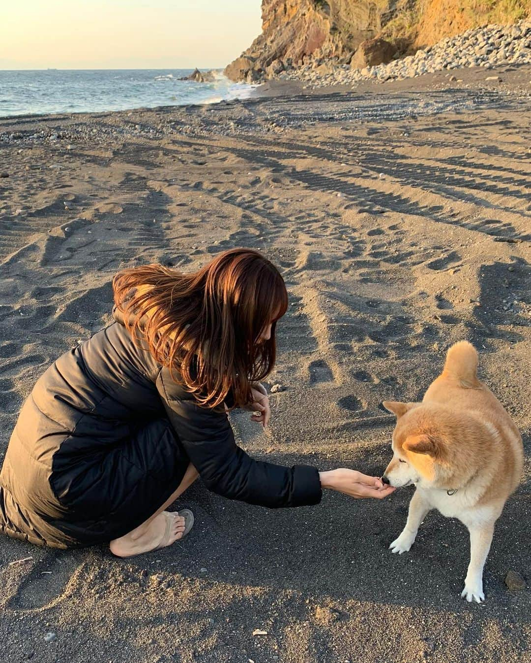 川村那月さんのインスタグラム写真 - (川村那月Instagram)「2020年 お仕事中のオフショットシリーズ 第２弾☺️💕  1枚目 Netflix 「愛なき森で叫べ」 この後エイコが…のシーン撮影前！！  2枚目 伊豆大島グラビアロケ🐕  3枚目 大阪 仕事後のてっちり🐡  4枚目 杓子山近くの駅にて撮影風景🗻  沢山の現場で、沢山の経験をさせて頂いた一年でした✨  #川村那月 #愛なき森で叫べ #Netflix #エイコ #ロミオ #女優 #伊豆大島 #グラビア #杓子山 #大阪 #てっちり🐡 #タレント #夢に向かって #オフショットシリーズ #感謝✨」1月7日 12時52分 - kawamura_natsuki317