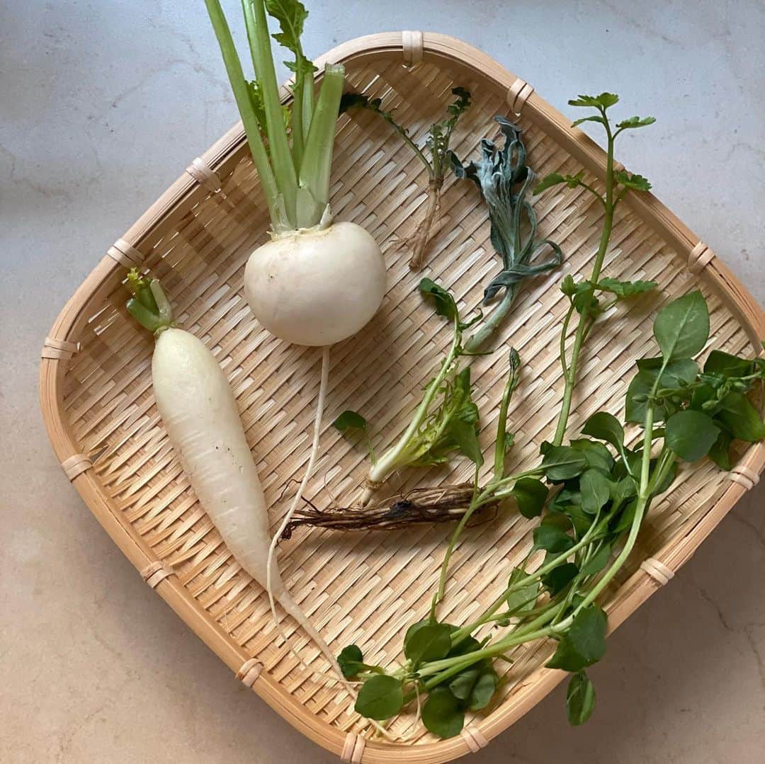 徳重杏奈のインスタグラム：「🌿﻿ 七草粥﻿ ﻿ 季節のものや行事と向き合っていると﻿ とても穏やかな気持ちになります🤲﻿ ﻿ 調子が悪かった給湯器、﻿ 今朝修理の方が来てくれて﻿ 何も触っていないのにお湯が出たそうです…﻿ ﻿ ﻿ ﻿ #気分屋 #七草の日 #七草粥の日 #七草粥 #無病息災 #名古屋 #アナウンサー #徳重杏奈」
