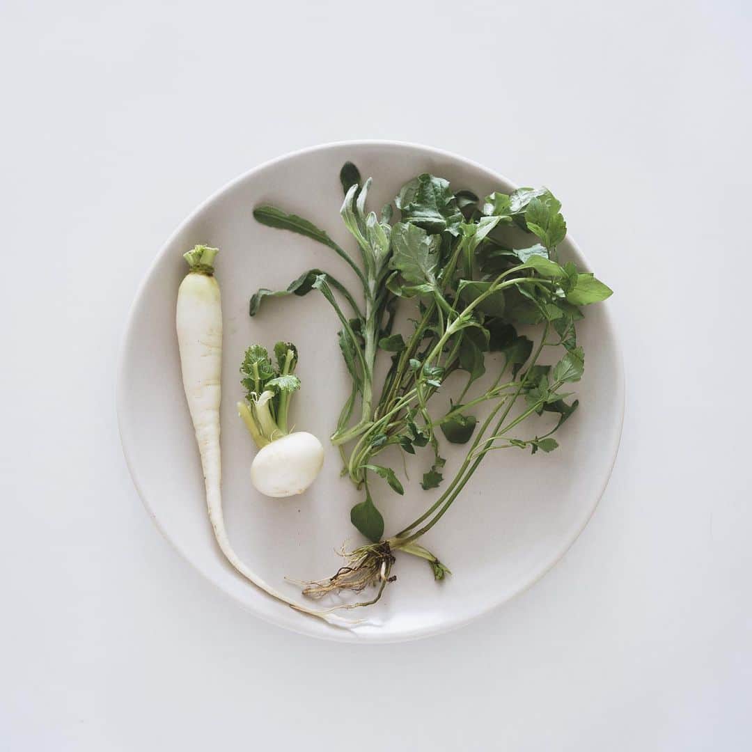 市川渚のインスタグラム：「1月7日、七草粥🌿 おかゆ大好き。  In Japan, Seven herb rice porridge is eaten on Jan 7th every year with New Year’s health wishes.」