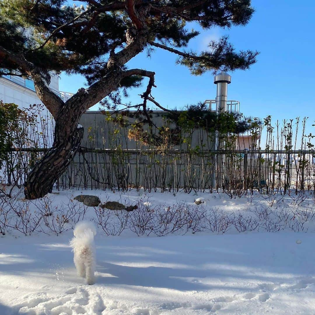 カン・ミンギョン さんのインスタグラム写真 - (カン・ミンギョン Instagram)「막냉이가 손꽁하면서 만든 기야운 눈사람 ⛄️🤍」1月7日 13時54分 - iammingki