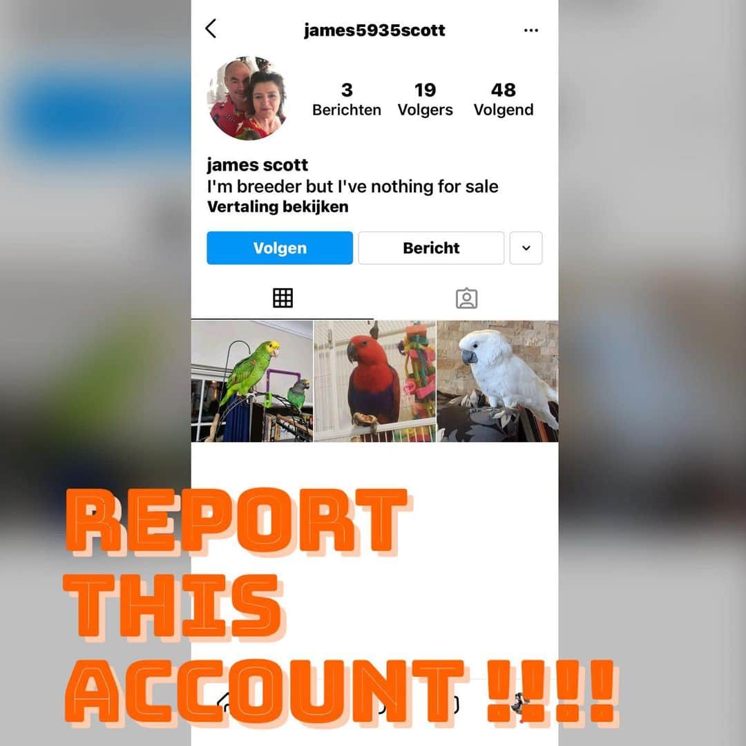 ? Enjoy Harley's Lifeのインスタグラム：「This a  FAKER 😤He is using Mom and Dad’s Photo🤬 👎🏻This is not OK 👎🏻 the link is https://instagram.com/james5935scott?igshid=1n6tp324tx5ys  ##please report this person !!!!!!## @james5935scott 🤬🤬🤬🤬」