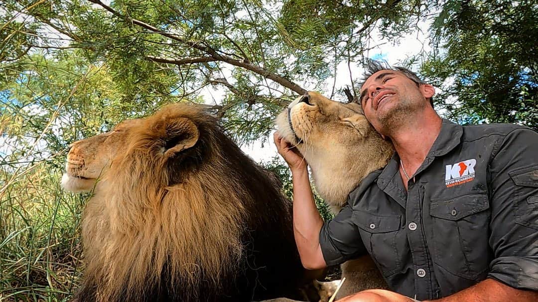 Kevin Richardson LionWhisperer さんのインスタグラム写真 - (Kevin Richardson LionWhisperer Instagram)「My office! No mask, breathing in fresh air and socially distanced from people. This is how I review the edits for #lionwhisperertv  If you’ve never watched you’re missing a treat. If you’re curious, head to my story’s and swipe up to subscribe. Then sit back, relax and enjoy hours upon hours of the lions, hyenas and leopards doing their thing.」1月7日 23時37分 - lionwhisperersa