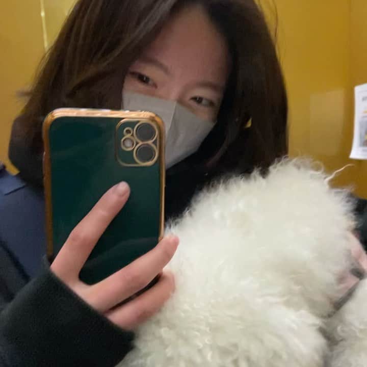 イ・ハウンのインスタグラム：「요즘 내 일상🐾눈뜰 때부터 감을 때까지 막내들이랑」