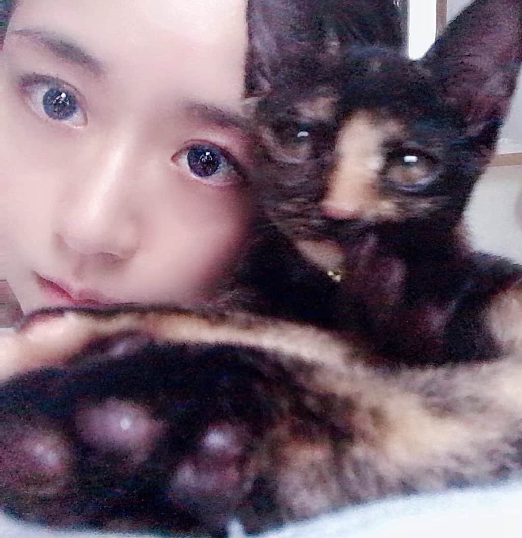 久保亜沙香さんのインスタグラム写真 - (久保亜沙香Instagram)「割と季節に寄り添って生きていますが、 胃を休めるのはまだ早いかなっていう身体の声を聞いて 七草粥の日は丸無視し引き続き暴飲暴食しました。  #asakakubo #久保亜沙香 #久保 #亜沙香 #asaka #kubo #follow  #photo #live #ライブ #actress #singer #japanese #japanesegirl #japan #舞台 #舞台女優 #役者 #撮影 #写真 #フォロー #日本人 #保護猫 #保護猫と暮らす #保護猫を家族に #殺処分ゼロ #サビ猫 #七草粥の日」1月7日 23時54分 - asaka_kubo