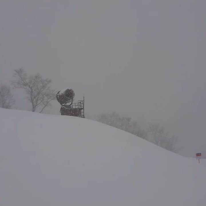 杉田芳尚のインスタグラム：「・  ・  やっとこさ、雪の上に立てました！  岐阜でのD.J.終わりでの数本だったけど、やっぱりこの遊びはやめられません‼️  15:00くらいの高鷲スノーパークの山頂の映像ですが、１日中暗く & 重い雲に覆われて、気温も上がらず、芯から冷える 「新雪祭り❗」でした。  この週末や三連休も当たりは確定だろうけど、高速道路や一般道のトラブルが気になります…。  下道でも、夕方は名古屋方面に美濃市を過ぎても街は雪⛄  お出かけされる #スノーボーダー 、#スキーヤー は事故らないでくださいね。  あー、30分程でリセットされていた今日の雪、フィッシュテイルやスワローテイルで蹴散らしまくりたい☆☆☆☆☆  #snowboarding #雪もっと降れ! #高鷲スノーパーク #バラクラバの有り難みを知った日 #TAKASUAIRMIXX #DJやってます #多分数日は新雪祭り❗ #Lovesnowboarding #動画の色は加工無しです」