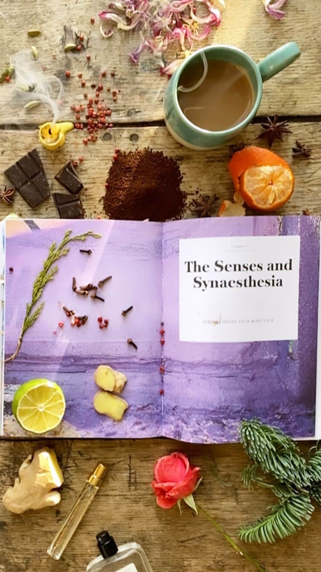 Tea and sittingのインスタグラム：「☕️🍊...I wrote both my @consciouscreativity books with January on my shoulder... I always find it tricky to re-emerge after Christmas and New Year and so I wanted the books to feel like sort of creative maps and friendly anchors to help people navigate towards pathways that lead back into an imaginative, playful and connected life...I’m aiming to do another live session in a couple of days working on an exercise from this chapter of #cctheworkbook; The Senses and Synaesthesia so I will keep you posted as to when! 🌿👃🌪 #synaesthesia #synesthesia #consciouscreativity #sensoryplay #thesenses @leapingharepress @quartocreates」