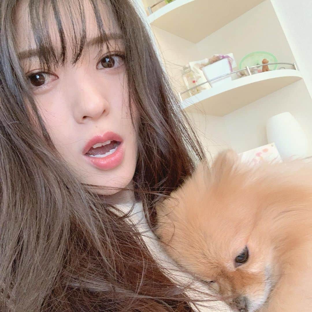 矢島舞美のインスタグラム