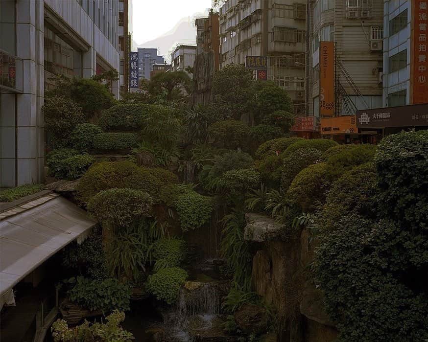 AnOther Magazineさんのインスタグラム写真 - (AnOther MagazineInstagram)「A luscious urban jungle in Taipei, Taiwan, captured by @andreas_mass 🌳  #GorgeousGardens⁠⠀ ⁠⠀ RG @another___kind 🔁」1月8日 0時36分 - anothermagazine