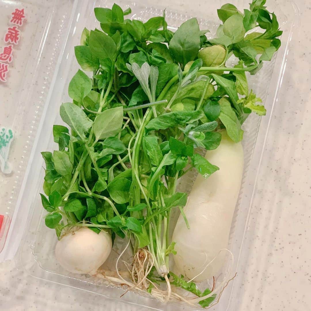 ochikeronさんのインスタグラム写真 - (ochikeronInstagram)「Do you know Nanakusagayu? Do you make it? It is the seven herbs rice porridge that we eat in the morning of January 7th to bring longevity and health. Perfect for your stomach after big holiday meals 😋  My darling was like, I am rushing to the work, why are you serving this hot stuff right before I leave 😂 So true, be careful. I woke up late 😅 I put it in kids' Bento since they may try to eat it when they are at school. haha  Swipe up highlighted stories to view the recipe 👍🏻 @ochikeron」1月7日 16時06分 - ochikeron