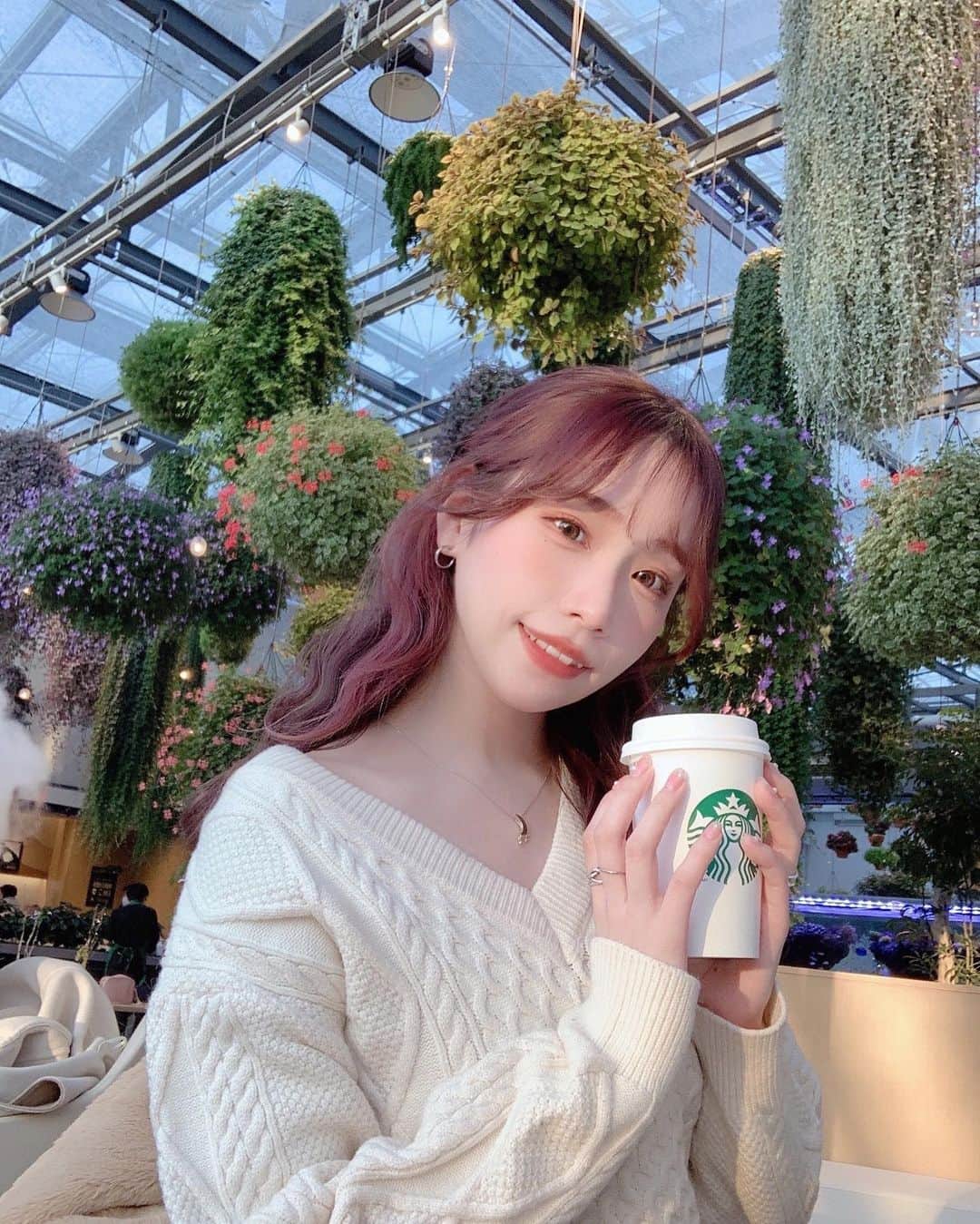 ののこのグルメインスタ