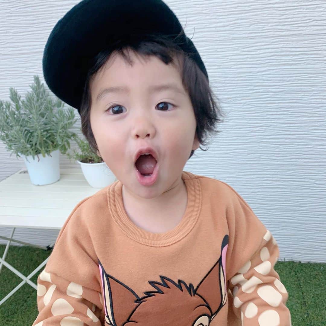 ともみさんのインスタグラム写真 - (ともみInstagram)「. 帽子被ってるから見えにくいけど はるくん髪の毛切りました✂︎ さっぱりして男の子っぽさが増した😊 . トレーナーは @babydoll_select ！ バンビかわいい〜💕 86cm12kgで100sizeがジャストでした👦 . @babydoll_select ではプレゼント企画も開催してるのでぜひチェックしてみてね〜✨  〈応募方法〉 1.@babydoll_selectをフォロー 2.babydoll _selectのプレゼントキャンペーンの投稿にいいね！ . .  #ベビドディズニーセレクト #ベビド #ディズニーコーデ #プレゼント企画 #babydoll #バンビ #disney #2歳 #2歳10ヶ月 #kidsfashion #kidsofinstagram #ootd #キッズコーデ」1月7日 16時39分 - yuzu_haru_18
