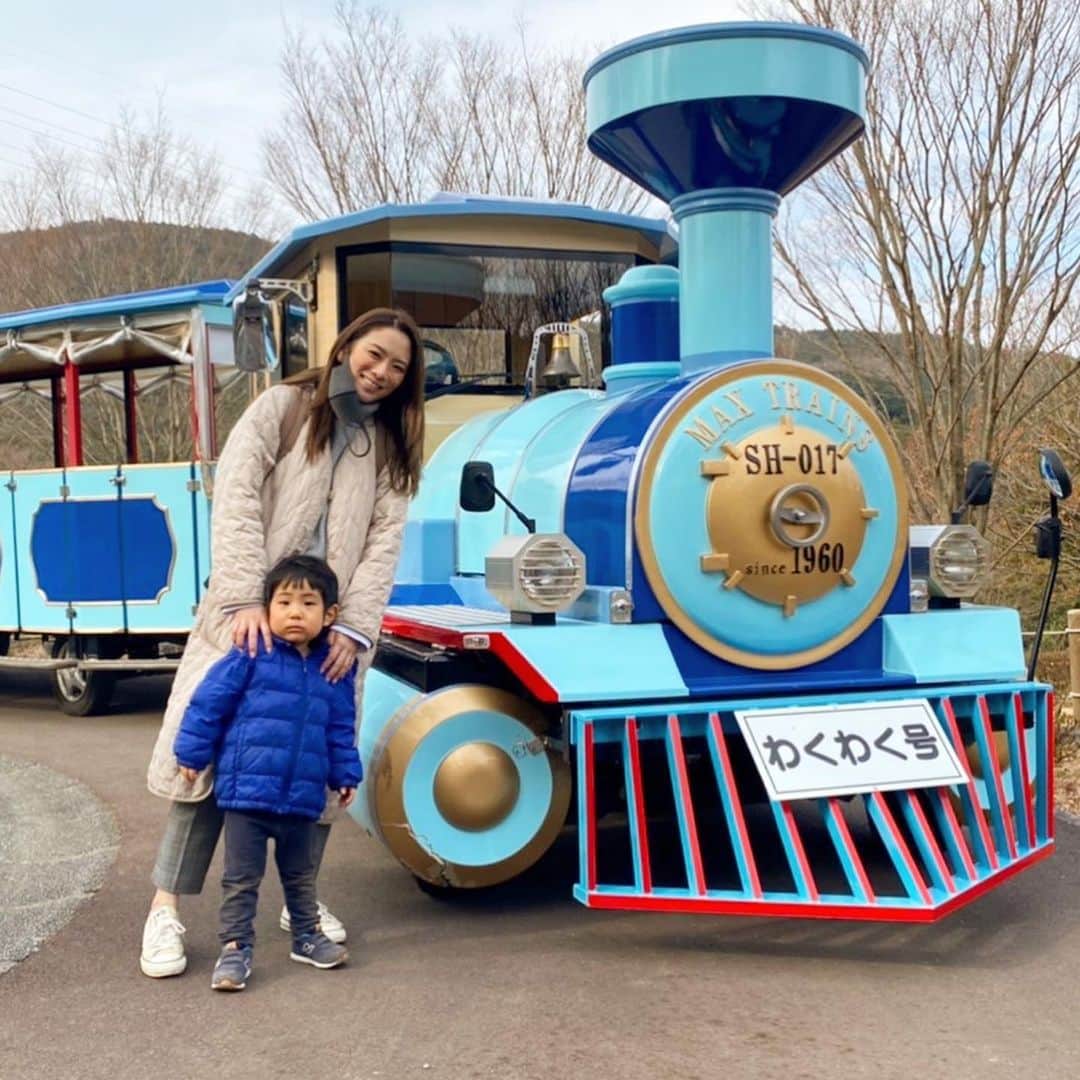 藤田志穂さんのインスタグラム写真 - (藤田志穂Instagram)「相変わらず、一緒に写真を撮ってはくれない息子。。。😭🤣 ・ そして 相変わらず、めげずに一緒に写真を撮ろうとする母😩😂 ・ 2021年、少しはまともな息子との写真が撮れると良いな😂 ・ そして この公園、とても楽しかった🙌 ・ 遊具も充実してるし、汽車が走っていたり乗れたり🚂 ・ リアルが好きな息子は、可愛らしい汽車が走っているのを見て「ポカーン」としていたけども🤣 ・ 踏切がお気に入りのようでした🙌 ・ そして 高さを気にする事なく、橋を渡ってた😳高いところ怖くないのかな🤔 ・ #わんぱくらんど #わくわく号 #小田原 #子鉄とおでかけ  #子鉄スポット #コキンちゃん  #好きらしい #理由は #青いから 🤣 #映えない親子 #家族写真 #ちびっこジャイアン」1月7日 16時42分 - shiho_fujita44