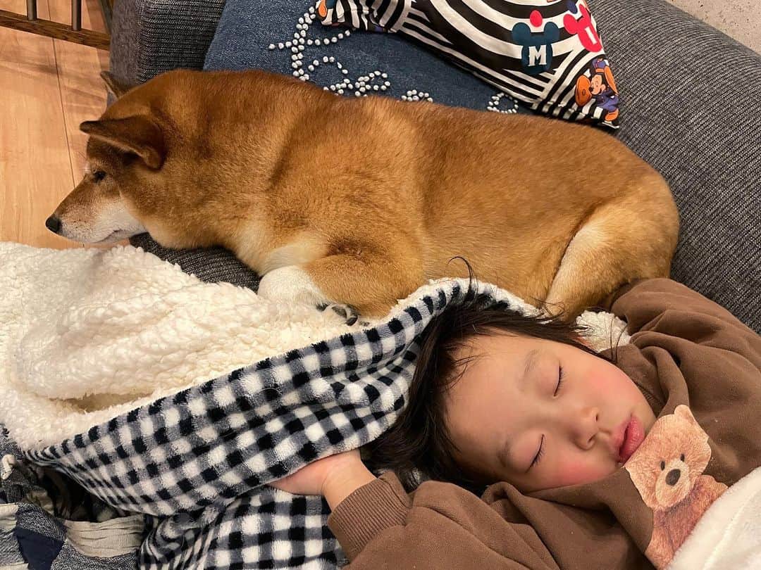 のインスタグラム：「おうち時間が増えると ミクがちょっと嫌そうな顔するんだよなーー！」