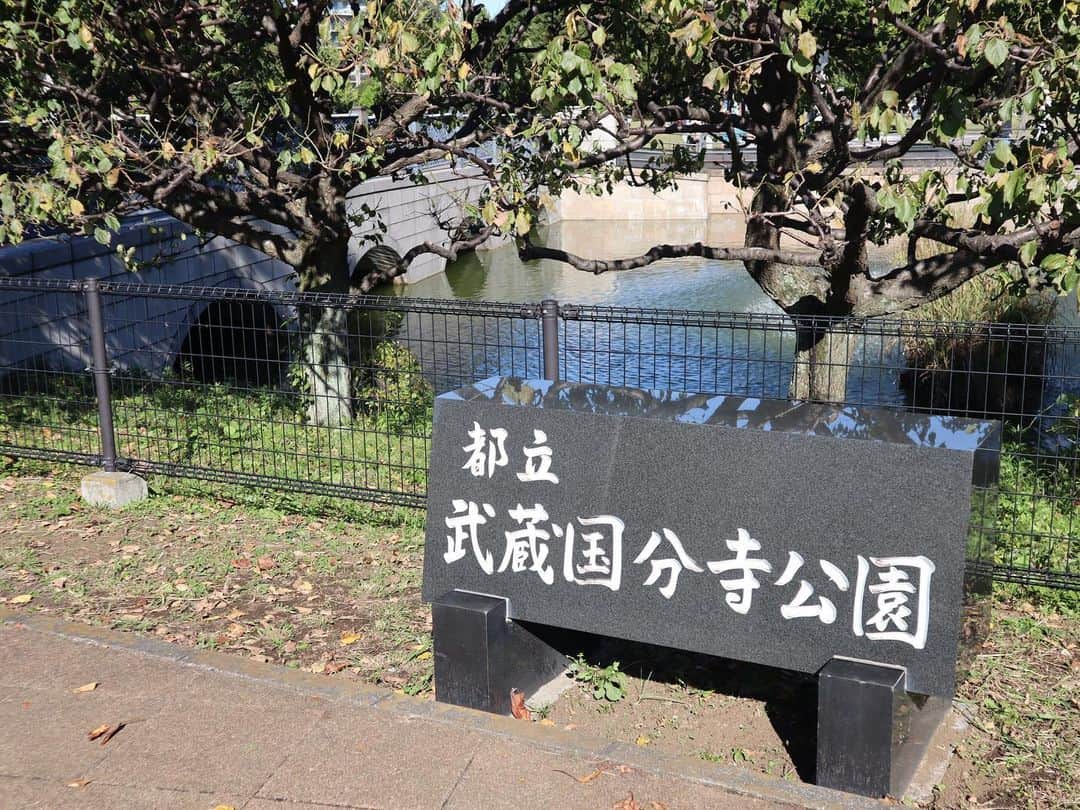 金泉紗恵子さんのインスタグラム写真 - (金泉紗恵子Instagram)「.﻿ 【東京　武蔵国分寺公園・大学通り】﻿ こちらも10月に行った写真です📷﻿ 1枚目から4枚目は武蔵国分寺公園✨﻿ 多摩地区の公園は本当に綺麗で素晴らしかったです😍﻿ この公園はかなり大きかったです❣️﻿ ﻿ 子供たちが遊ぶのはもちろん、大人だけでもレジャーシートを持ってきて寝転んでる方が何組も☺️﻿ 秋晴れで気持ちの良い日だったので、レジャーシート持ってくればよかったーと思いました😁﻿ ここが近所だったら、密にならずに運動不足も解消できそうです😆﻿ ﻿ そして5枚目以降は多摩地区でのオススメスポットとしてフォロワーさんに教えていただいた、国立の大学通りです😎﻿ 紅葉前だったので、まだ葉っぱは色付いていませんでしたが、それでもすごく綺麗でびっくり🤩﻿ 季節ごと、素晴らしい景色を楽しめるみたいなので、違う景色も行ってみたいな🥳﻿ ﻿ 通りの真ん中あたりには一橋大学があります⭐️﻿ 一橋大学の中も見たかったところですが…現在はコロナで中に入ることはできません💦﻿ 残念ですが、今は仕方ないですよね😢﻿ いつか一橋大学の見学もしてみたいです🤗﻿ ﻿ とにかく多摩地区は全体的に整備されていて、とても綺麗でした😋﻿ こんなにも綺麗に整備されているとは、実際行ってみるまで知りませんでした🙌﻿ 綺麗に整備されているけど、自然がきちんと残っているのがとても素敵でした💕﻿ 近所ではない方は、感染状況が落ち着いたらぜひ足を運んでみてください👌﻿ 良いスポットを教えてくださったフォロワーの皆様ありがとうございます😆﻿ ﻿ ※写真撮影時はマスクを外していますが、マスク着用が原則です🙌﻿﻿﻿﻿﻿﻿﻿ ----------------------------------------------------﻿﻿﻿﻿﻿﻿ 多摩の魅力発信プロジェクト　@tamahatsu_official のメンバーとして多摩地区のPRをさせていただいています﻿﻿﻿﻿﻿﻿﻿ ----------------------------------------------------﻿﻿﻿﻿﻿﻿ .﻿ #PR #tamahatsu #tokyo #eoskissm #canoneoskissm #hitotsubashiuniversity #followme #park #たま発 #多摩の魅力発信プロジェクト #多摩 #武蔵国分寺公園 #国分寺 #国立大学通り #大学通り #一橋大学 #ミラーレス一眼 #東京 #東京観光 #旅行好きな人と繋がりたい #旅行好き女子 #公園」1月7日 17時00分 - saeko_kanaizumi