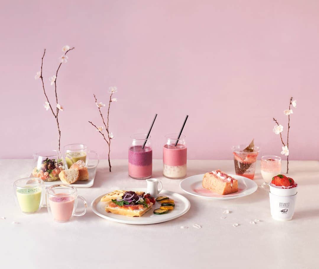 のインスタグラム：「【SPRING MENU🌸】 明日1/8（金）より、BOTANIST Tokyo（@botanist_tokyo）にて、一足も二足も早く、春を先取りできる限定メニューが新登場🍽 ティーポットに入ったヴィーガンサラダや、サクラ色が映えるクラフトチョコレートメーカー Dari K（@dari_k.cacao）コラボドリンクなど全10種をラインナップ。 ⠀⠀ 期間：1/8（金）〜3/31（水） ⠀⠀ ＜🌸SPRING MENU🍽️＞ ⠀⠀ 🥗画像2枚目 ■ キヌアのティーポットサラダとポタージュ ✔︎ ティーポットでたっぷり野菜をいただくのがユニーク ✔︎ ¥1,500（税込）※ヴィーガン対応 ⠀⠀ 🥞画像3枚目 ■ サーモンサラダとワッフル ✔︎ ボリュームたっぷりでお腹も大満足 ✔︎ ¥1,500（税込） ⠀⠀ ☕️画像4枚目 ■ グリーンピースのソイポタージュ / ビーツピューレのサクラポタージュ ✔︎ 一足、二足も早い春の訪れを感じて ✔︎ 各¥510（税込）※ヴィーガン対応 ⠀⠀ 🍹画像5枚目 ■ サクラ香るジュレとフロマージュムース ✔︎ サクラ香るさっぱりジュレとムースの口どけがたまらない ✔︎ ¥650（税込）※ヴィーガン対応 ⠀⠀ 🍰画像6枚目 ■ サクラ香るふんわりシフォンケーキ ✔︎ ふんわり食感で幸せに包まれる ✔︎ ¥800（税込） ⠀⠀ 🍶画像7枚目 ■ 3種のベリースムージー / 苺とラズベリーの甘酒スムージー ✔︎ お肌に嬉しいベリーの美味しさを濃縮 ✔︎ ¥850（税込）※ヴィーガン対応 ⠀⠀ 🍓画像8枚目 ■ 苺とサクラのティーソーダ ✔︎ サクラの葉とゴロゴロいちごのシュワっと喉ごしソーダ ✔︎ ¥750（税込）※ヴィーガン対応 ⠀⠀ 🍫画像9枚目 ■ 苺のデコレーションホットチョコレート ✔︎ 「Dari K」の本格カカオとイチゴを堪能して ✔︎ ¥800（税込）※コラボドリンク ⠀⠀ ※ ご来店当日に体調に不安のある方は、どうぞご無理をなさらず今一度ご検討いただき、万全な状態で当店のサービスをお楽しみいただければ幸いです。 ⠀⠀ #春の夢を咲かせる #BloomyourDream  #BOTANIST #ボタニスト #botanisttokyo #ボタニストトウキョウ #botanicalbeauty ⠀⠀ 🗼@botanist_tokyo 🌍@botanist_global 🇨🇳@botanist_chinese」