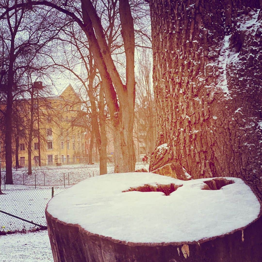 北欧デザイン・ストックホルム便さんのインスタグラム写真 - (北欧デザイン・ストックホルム便Instagram)「遅ればせながら2021年の始まり。 今年もどうぞ宜しくお願い申し上げます😊  久しぶりに雪景色の朝❄️ 今年の冬は、まだほとんど降ってないけど、やっぱり北欧は雪が似合う❤️ 明日はそり滑り、できるかな😁  持ってたお餅が、元旦の1日分しかなくて、ちょっと物足りなかったので、初めてホームベーカリーで作ってみた❣️ こないだ作ったあんこと、弟家族が送ってくれたきな粉をまぶして食べたらうま〜い😋 息子は醤油&のり派。 娘は何もつけずそのまま派🤣 温かいお茶と一緒に🍵」1月7日 17時09分 - hokuo_design_stockholm