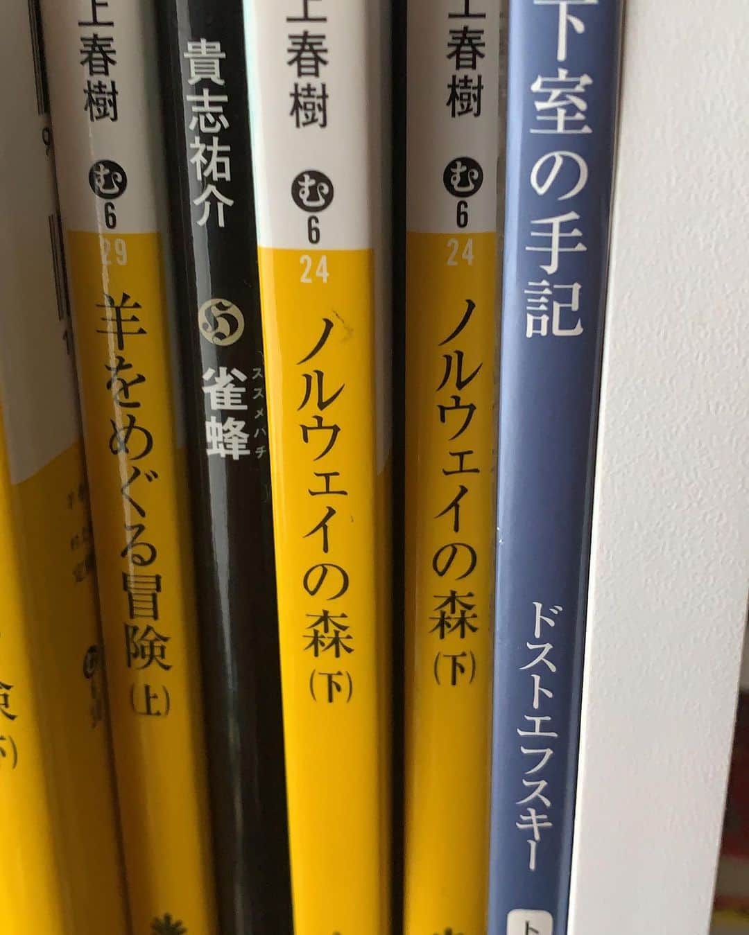 若葉紫のインスタグラム：「ノルウェーの森.... それなら、1Q84の方が好きかな。  #読書好きな人と繋がりたい」