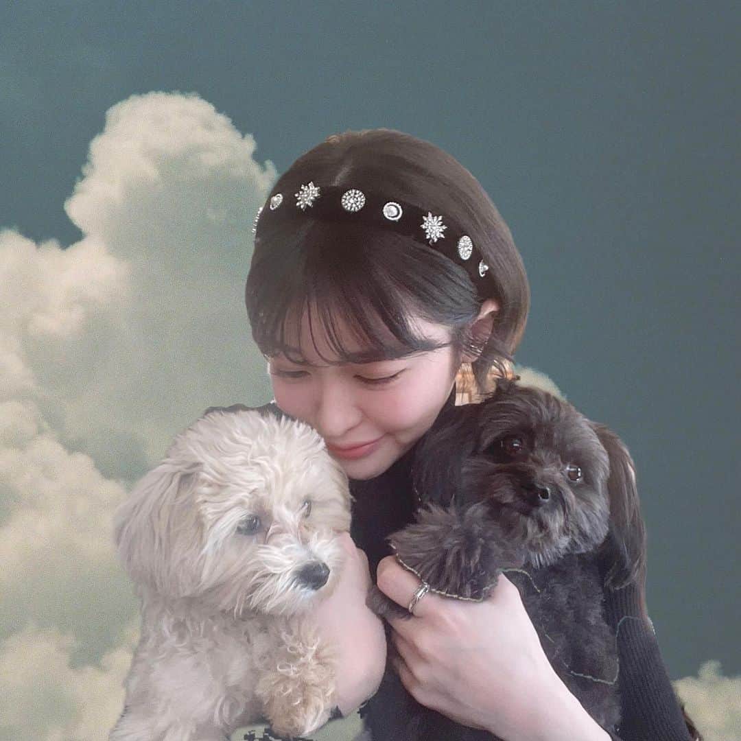 吉田菫のインスタグラム