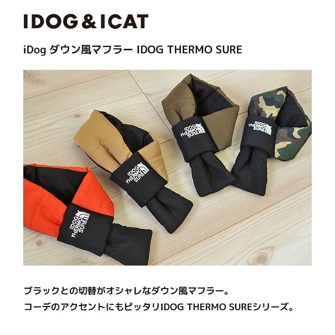 iDog&iCatのインスタグラム