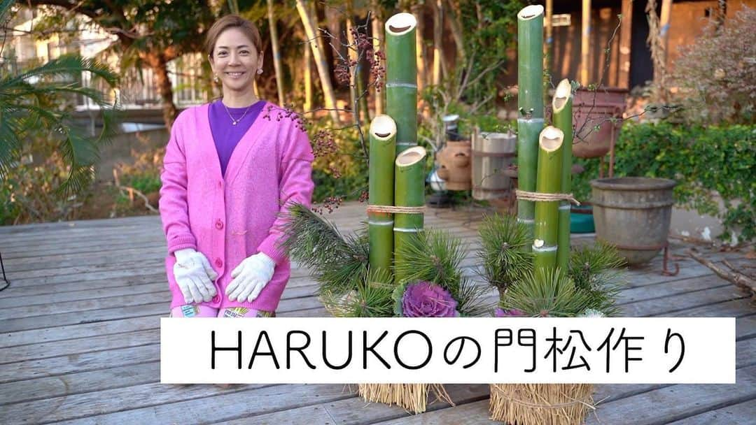 HARUKO（真木明子）さんのインスタグラム写真 - (HARUKO（真木明子）Instagram)「そう言えば You Tubeデビューしました🤣. . ハルコノニワでググってみてね❤️. . のんびりアップしまーす。. . 何か良い案があったら教えてね👍👍👍. . #youtube #youtubeデビュー#門松#2021#ハルコノニワ#チャンネル登録お願いします #いいね」1月7日 17時30分 - haruko227