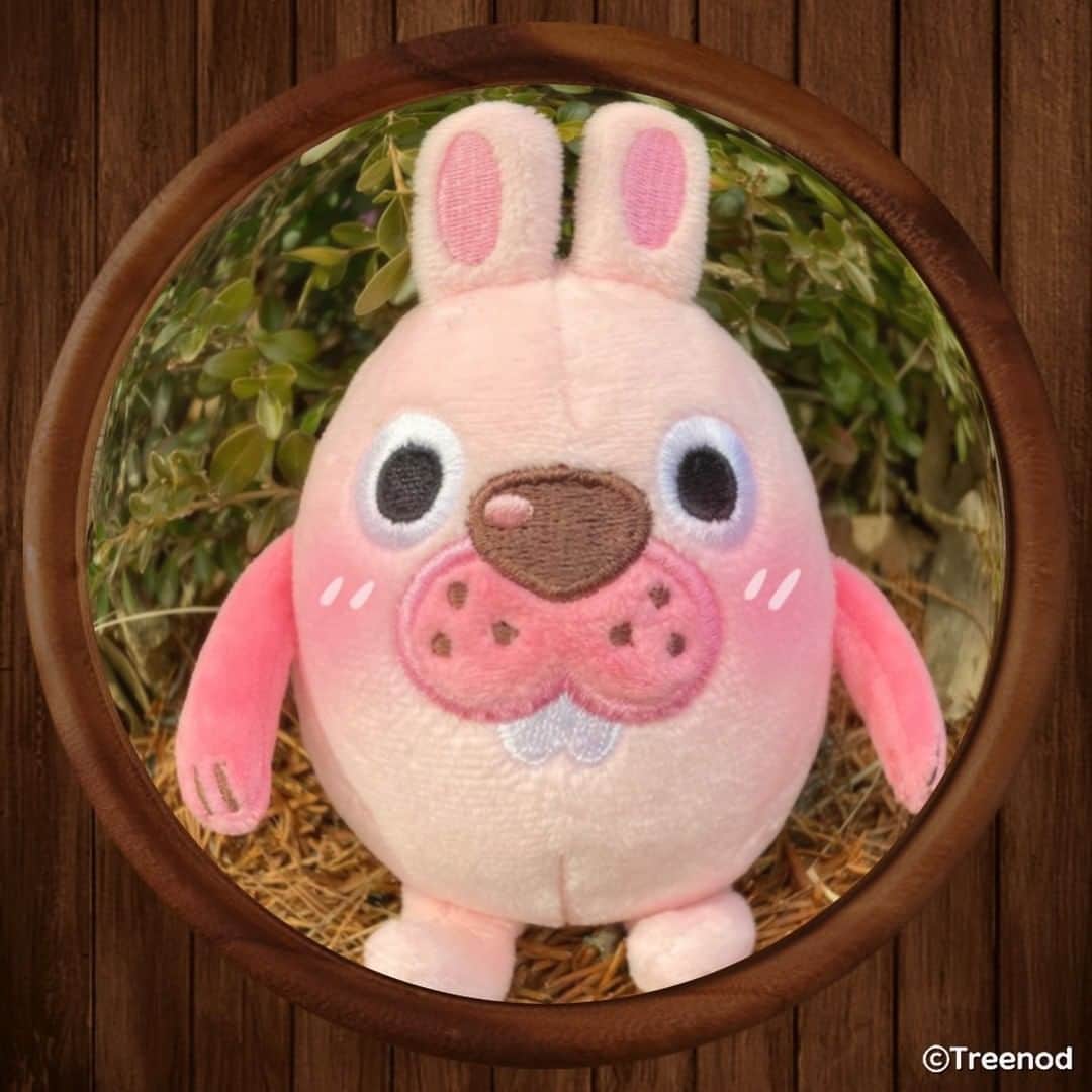ポコタのインスタグラム
