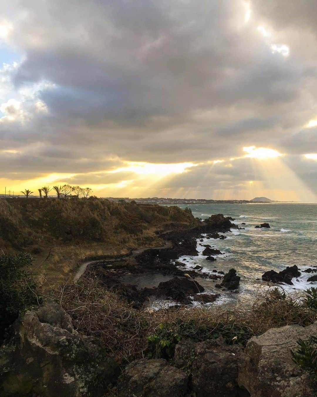 イ・ジアさんのインスタグラム写真 - (イ・ジアInstagram)「Jeju #맛남의광장」1月7日 18時47分 - e.jiah