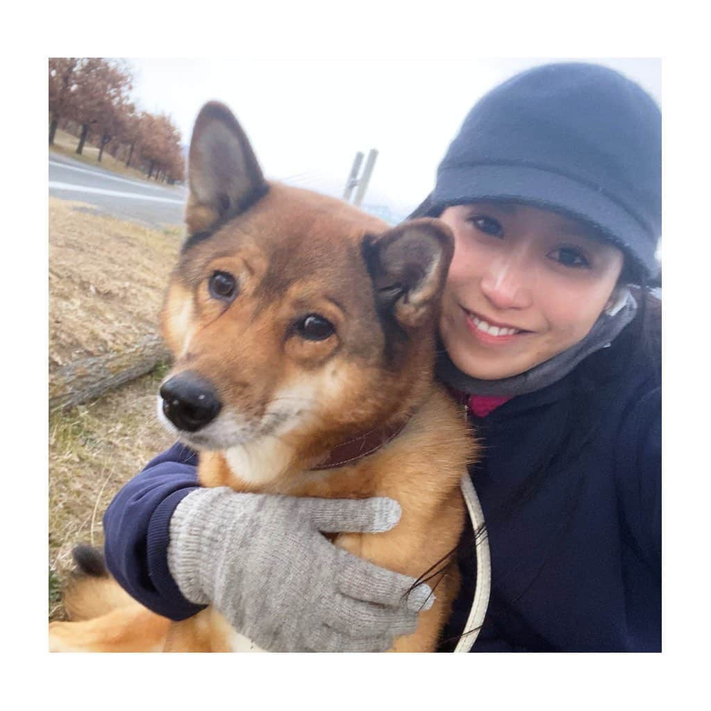 宇田恵菜さんのインスタグラム写真 - (宇田恵菜Instagram)「sweetie doggy Pico💋 連れて帰りたい🥺🥺🥺 ——————— #dog #shiba #shepherd #cute #犬 #雑種 #シェパード #柴犬 #シェパード柴 #癒し #Pico  #愛犬 #puppy #ilovemydog #犬部屋 #甘えん坊 #靴下犬 #お父さん #ファザコン #シェパードミックス #柴ミックス #actresslife #女優」1月7日 20時22分 - ena2727