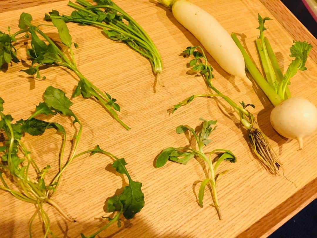 ギャル曽根のインスタグラム：「七草。 今日は七草粥を食べました。 #子供達もよく食べました☺️❤️」