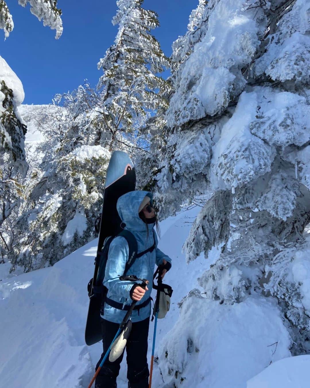 のインスタグラム：「ハイクアップしてふかふかの新雪を満喫❄️」