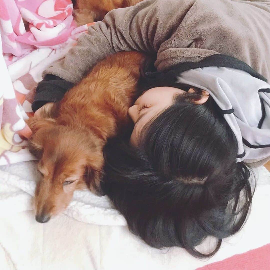 PONさんのインスタグラム写真 - (PONInstagram)「添い寝したいわたしと迷惑そうな犬」1月7日 20時54分 - oresama_pon