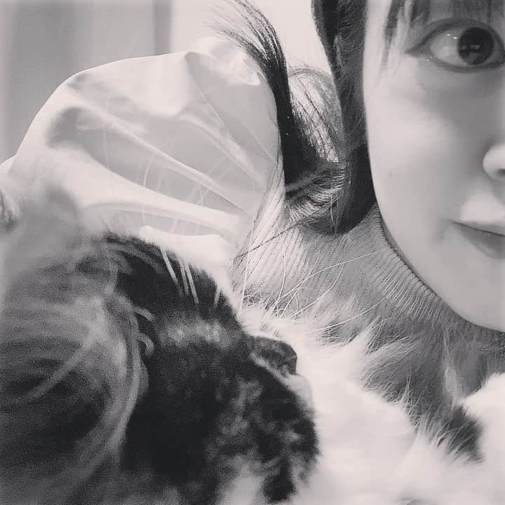 鈴木あゆのインスタグラム：「でんでんに寝起きドッキリ(迷惑)  #にゃんすたぐらむ #ねこのいる生活  #ねこ部  #でんでん #鈴木あゆ」