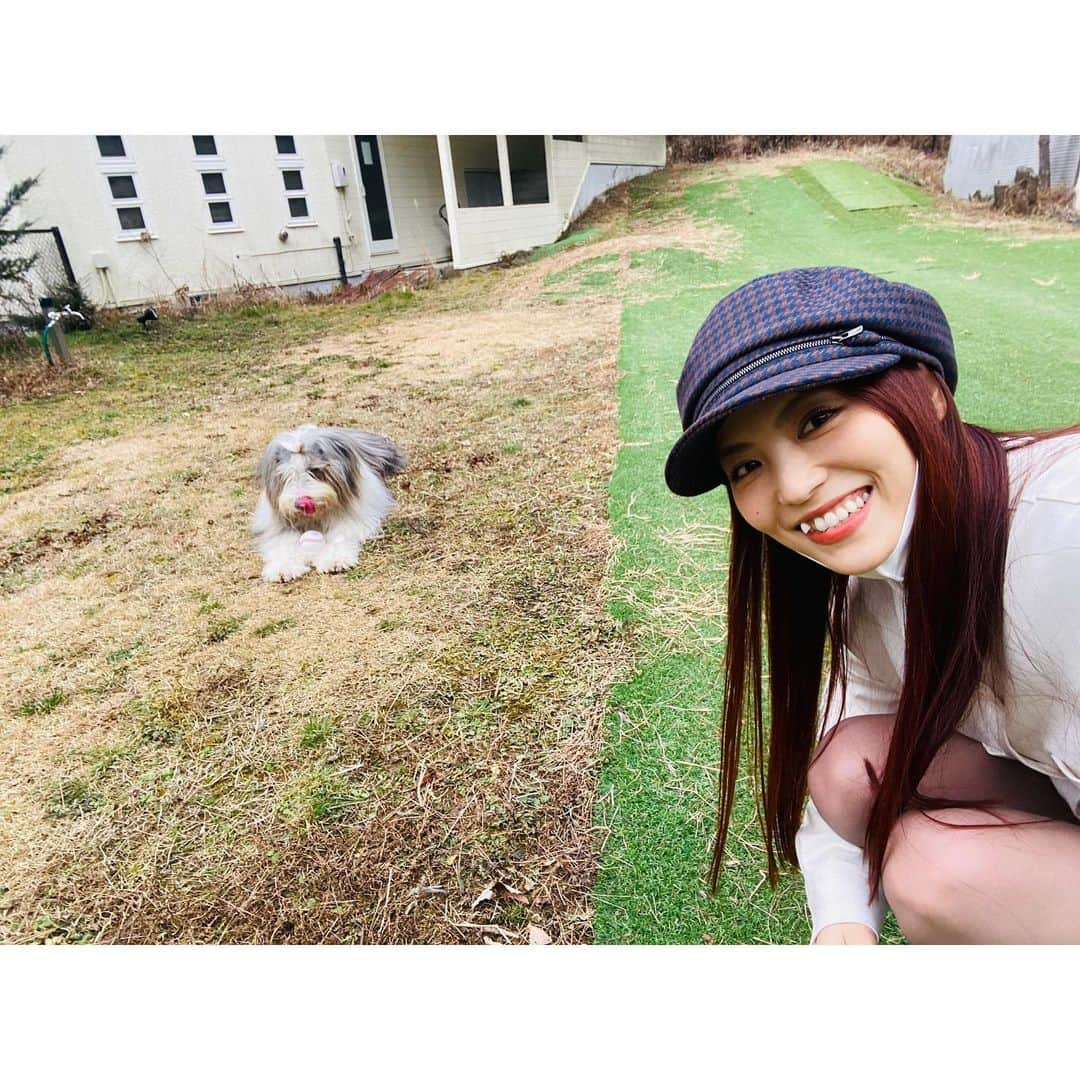 田野アサミさんのインスタグラム写真 - (田野アサミInstagram)「🕊♡🦮♡🐶♡🗻.  I meet again.👏🏻 逢いたいと願い、逢えた♡ きちんと距離をとり逢えた♡ ちなみにこの写真達は去年末に撮った写真です♡ ここの瞬間の全てが好きで溢れている。 写真撮ってくれた人💚も私の大好きな人。緑の人💚。  皆へ🕊....🤲🏻 皆さんの燻る気持ち。 どうかどうか未来の力にしましょうね。私もそうするから‼️ #田野アサミ#asamitano #逢いたい#takecare ※写真撮る時だけマスク外してます I take off the mask only when taking a picture🤍. I can't wait to see you now, but I'm looking forward to seeing you. Please be really careful.🤲🏻🕊」1月7日 21時08分 - tano_asami