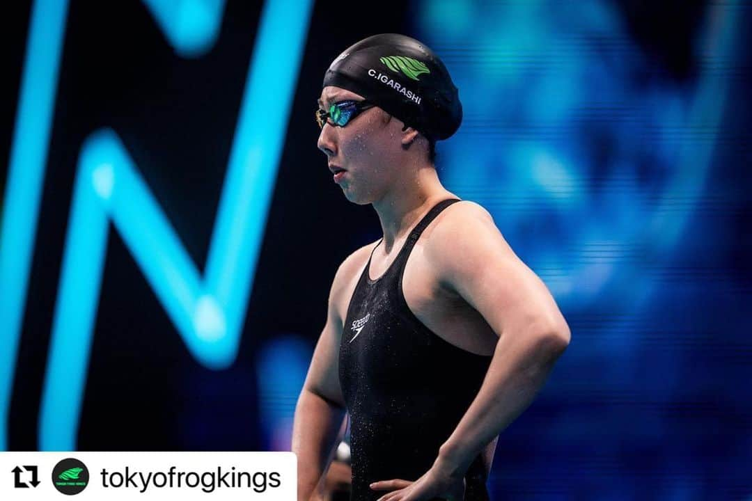 五十嵐千尋さんのインスタグラム写真 - (五十嵐千尋Instagram)「#Repost  @tokyofrogkings with @make_repost ・・・ Chihiro Igarashi @iga24chiii will be swimmer her first race of 2021 this weekend in Tokyo🐸👑🚀  #ISL2020 #ISwimLeagueS02 #ISwimLeague #ISL #Tokyo2020 #TokyoFrogKings  📸: @minekasapoglu」1月7日 21時38分 - iga24chiii