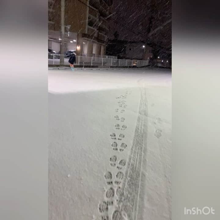 栗田善太郎のインスタグラム：「♪SNOW DAY/Shame」