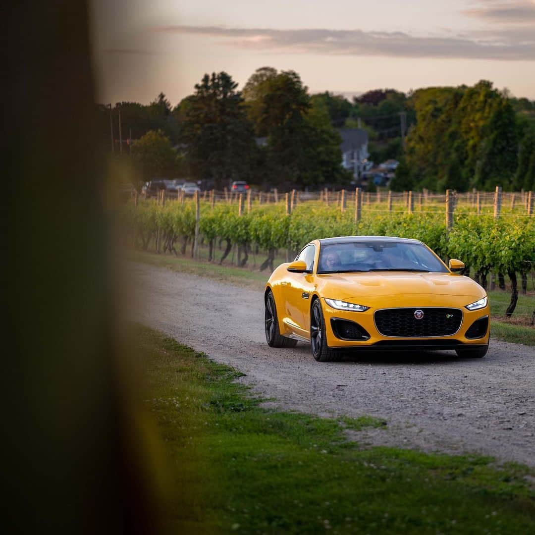 Jaguarさんのインスタグラム写真 - (JaguarInstagram)「A #RhodeIsland sunset and the #Jaguar #FTYPE in Sorrento Yellow. The perfect pairing.   #Coupé #Luxury #Premium #Exclusive #Performance #Sport #SportsCar #CarsofInstagram #InstaCar #NewEngland #USA」1月7日 22時05分 - jaguar