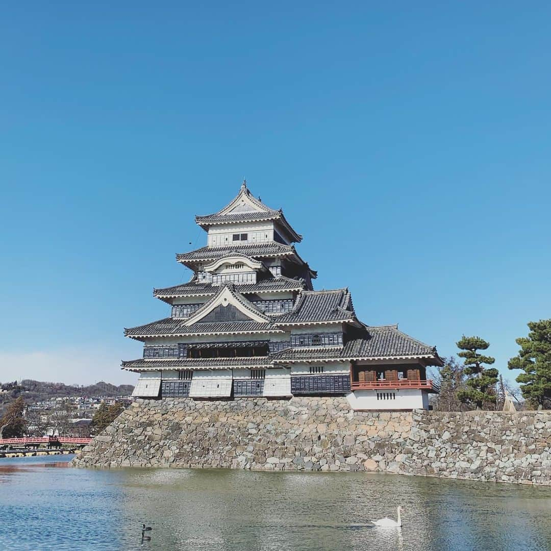 山本真由美のインスタグラム：「. . はくちょーと、松本城🏯🦢 . . 築城から400年以上たつ、国宝でもある松本城。 ほんとに綺麗だった。 華美すぎず、お城全体は黒っぽくて格好良い。月に1回職人さんの手で漆が塗られているそう。お庭もしっかり整備手入れされていて、周り連なる山々の景色が美しい。 明治時代から城の保護に尽力された市川亮造さんと小林有也さんの存在があったり、そうして守られたこのお城。雄大でした。 . 天守閣から一望できた松本の町。 大きく急な階段はのぼるのも一苦労だけれど自分の足で踏みしめたり温度を感じたりするのは、貴重な体験。歴史にも興味が湧きました。　 . . #長野 #松本 #松本城 #国宝　 #nagano #matsumoto  #matsumotocastle #japan  #天守閣 #城 #nature #mountains  #アルプス #山脈 #bird #swan  #歴史 #history #宇宙 #つつじ #白鳥　 #陰翳礼讃」