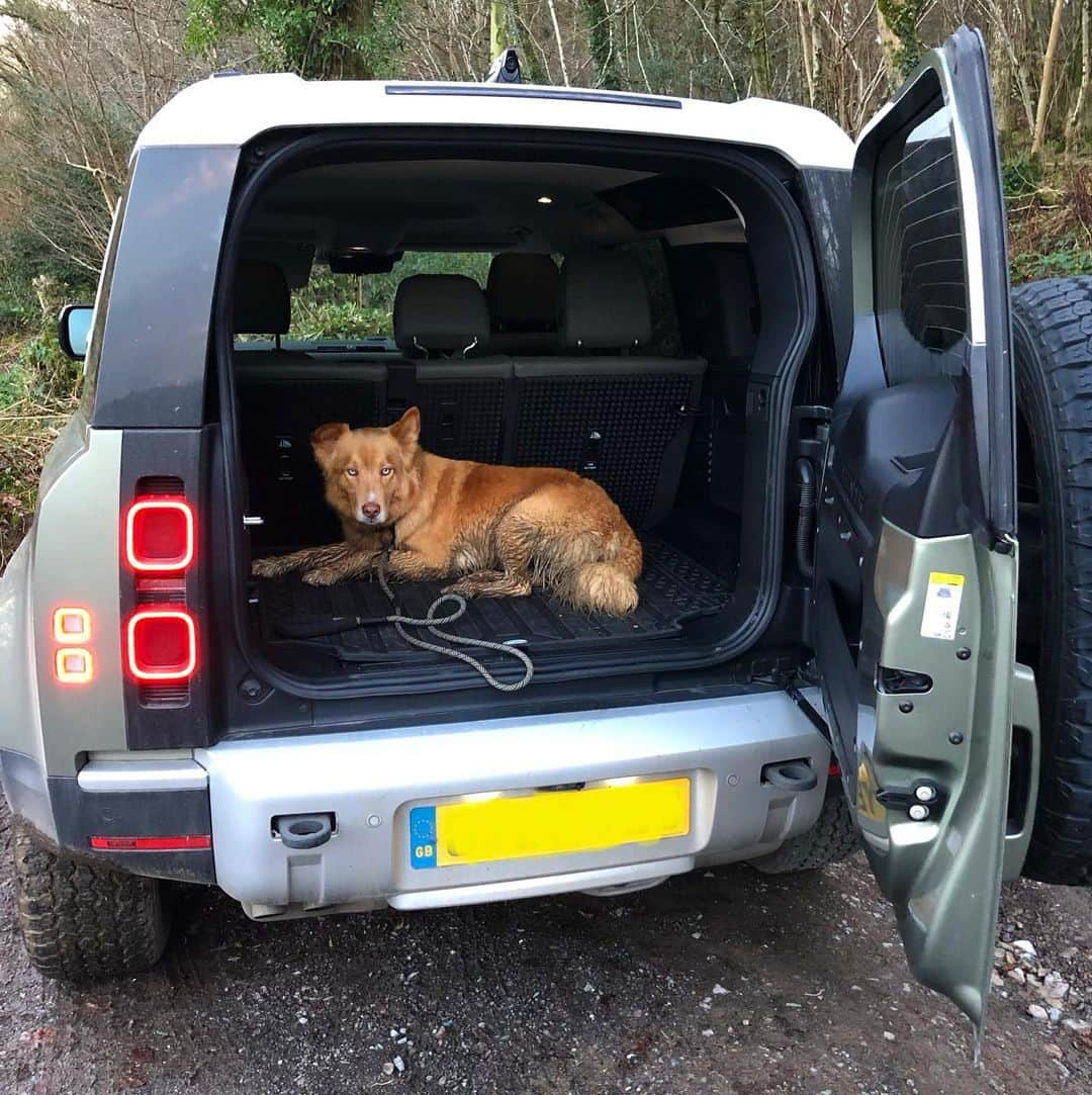 アナベル・ウォーリスさんのインスタグラム写真 - (アナベル・ウォーリスInstagram)「Thank you @landrover @fantasticpartners @thatsourdibs 🌎」1月7日 22時56分 - annabellewallis