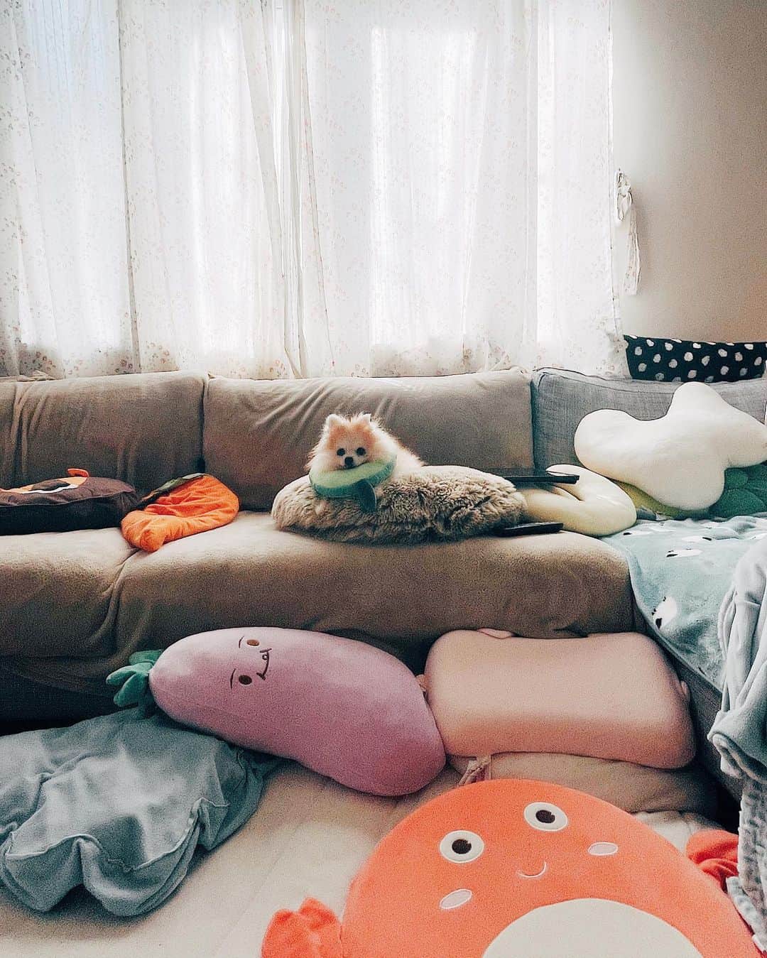 r_oseのインスタグラム：「Welcome to my kingdom🐰.... ”The kingdom of pillows”🍆🥑🥕🍅☁️〰️」