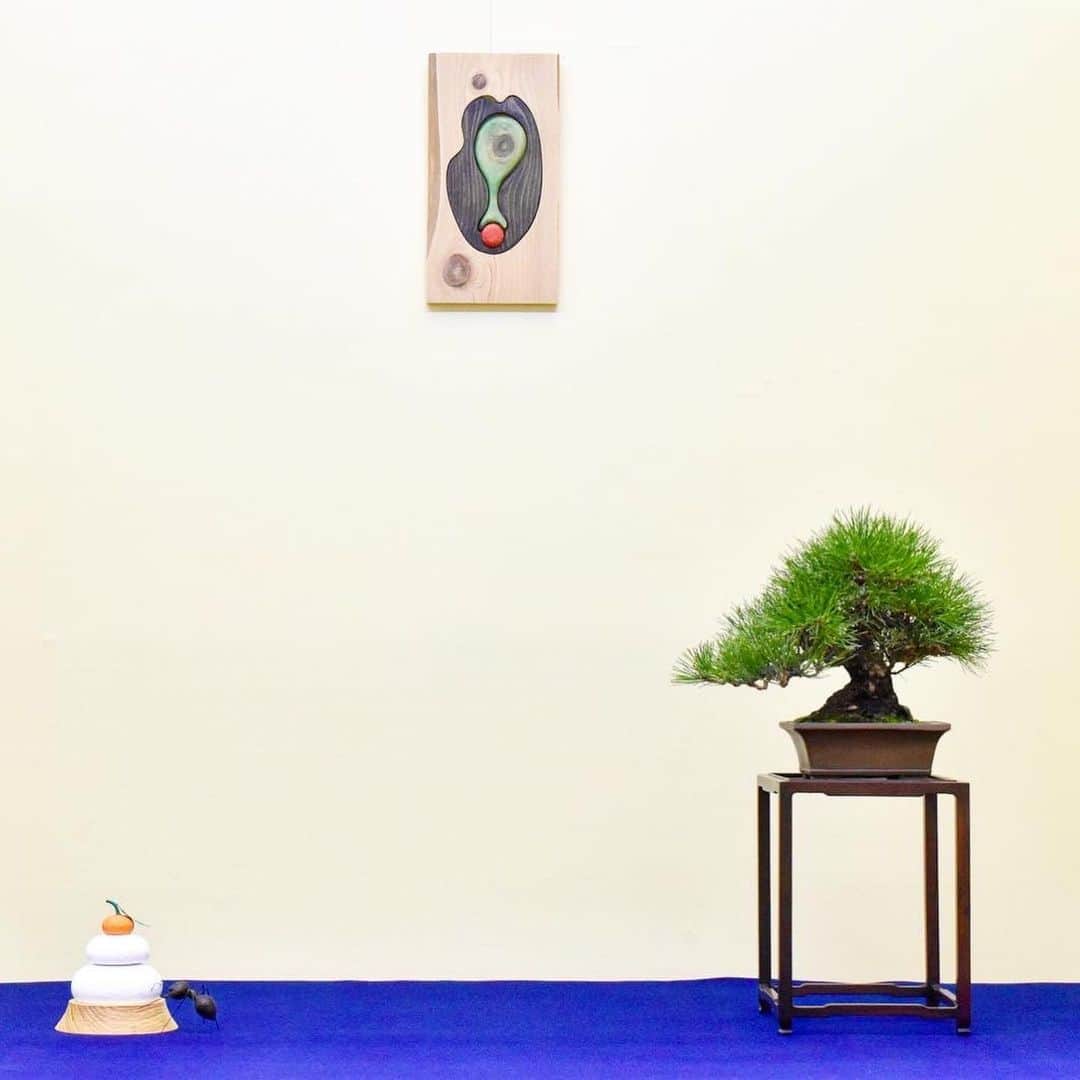 秋山真太郎さんのインスタグラム写真 - (秋山真太郎Instagram)「京都・みやこめっせで明日より開催される第46回小品盆栽・雅風展に特別展示させて頂くことになりました😊✨ 初めての展示です！ そして今回は熊本の彫刻家、Kozuma Toshihiroさんのレリーフと、木でできた鏡餅、そして蟻ちゃんとコラボさせて頂きました✨ 今展示のテーマはKozumaさんのレリーフのテーマにちなみ、「SEIMEI」にしました🌸 会場にお伺い出来ないので写真載せます(^^) #bonsai#盆栽#분재#雅風展#みやこめっせ#japan#japanculture」1月7日 23時03分 - shintaro_akiyama_official