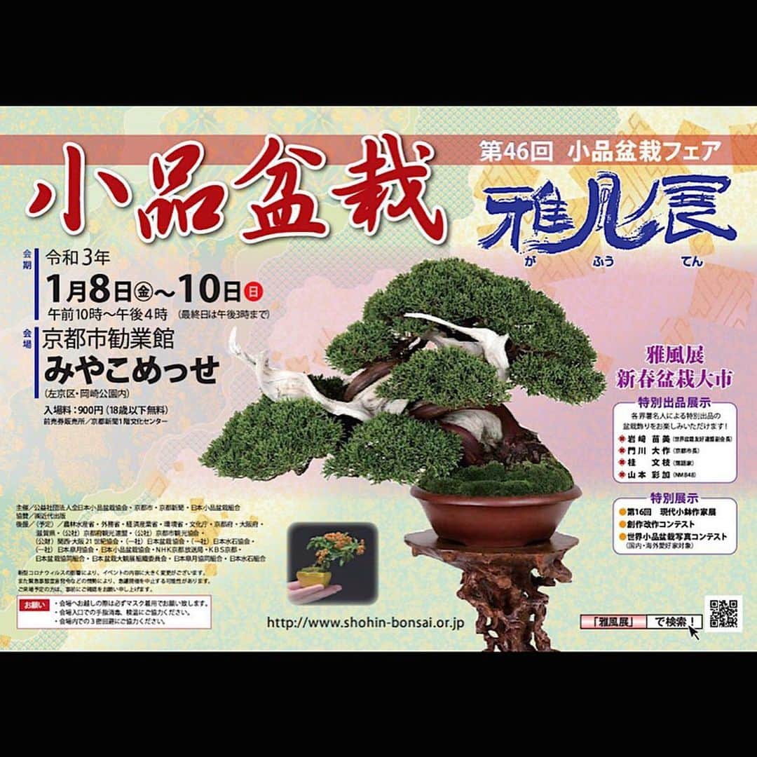 秋山真太郎さんのインスタグラム写真 - (秋山真太郎Instagram)「京都・みやこめっせで明日より開催される第46回小品盆栽・雅風展に特別展示させて頂くことになりました😊✨ 初めての展示です！ そして今回は熊本の彫刻家、Kozuma Toshihiroさんのレリーフと、木でできた鏡餅、そして蟻ちゃんとコラボさせて頂きました✨ 今展示のテーマはKozumaさんのレリーフのテーマにちなみ、「SEIMEI」にしました🌸 会場にお伺い出来ないので写真載せます(^^) #bonsai#盆栽#분재#雅風展#みやこめっせ#japan#japanculture」1月7日 23時03分 - shintaro_akiyama_official