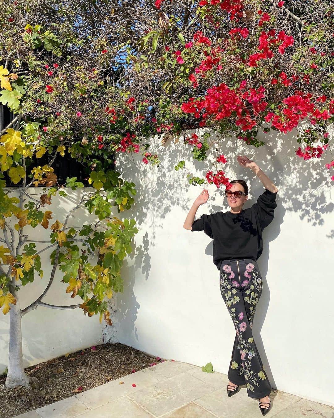 のインスタグラム：「Fancy pants 🌺✨」