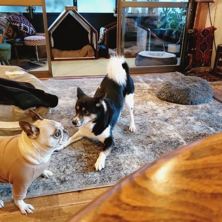 tamiのインスタグラム