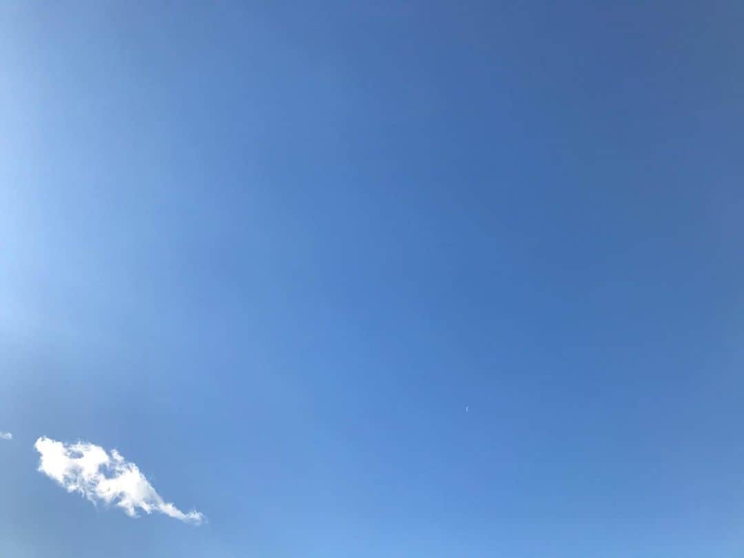 畑中葉子さんのインスタグラム写真 - (畑中葉子Instagram)「おはよう☀ 良い天気だけど寒いね。 空にはクジラの子どものような雲と、その右手に細い三日月が見えてる。 三日月、探してみて。 緊急事態宣言が出たけれど、何があっても自分の経済は回さなければならないから、皆様もシッカリと予防をして気をつけてお出かけくださいね。  #空 #イマソラ #クジラの子どものような雲 #三日月 #景色 #風景」1月8日 9時27分 - hatanaka_yoko