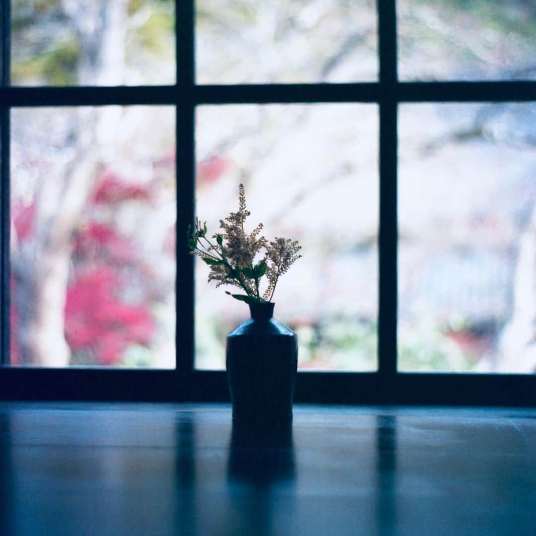 ゆうゆのグルメインスタ